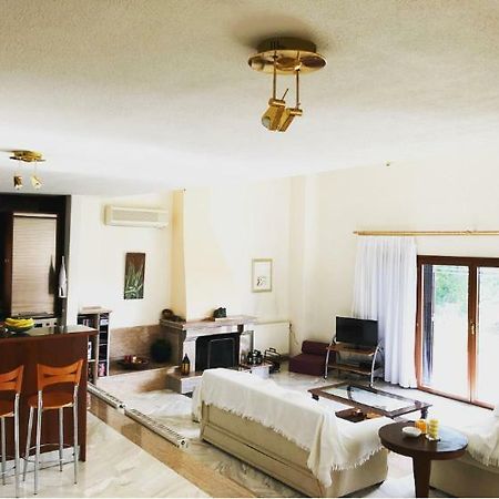 Bright & Spacious Seaview Villa Siviri Exterior foto